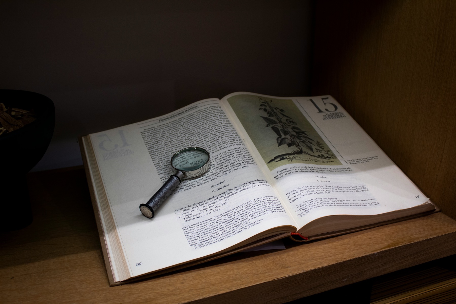 A close reading study scene that frames a single card as a focused decision signal